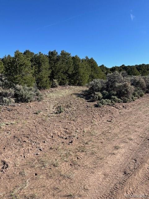 Lot 4 Elk Park Road San Luis, CO 81152 - Photo 5 of 30 a view of a dry yard with trees in the background