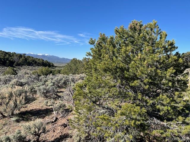 Lot 4 Elk Park Road San Luis, CO 81152 - Photo 6 of 30 a view of a city with lush green forest