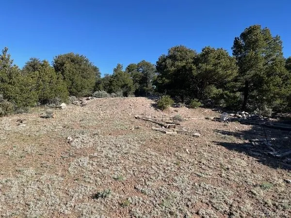 a view of a dry yard with trees in the background