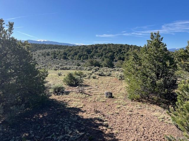 Lot 4 Elk Park Road San Luis, CO 81152 - Photo 10 of 30 a view of a dry yard with lots of bushes