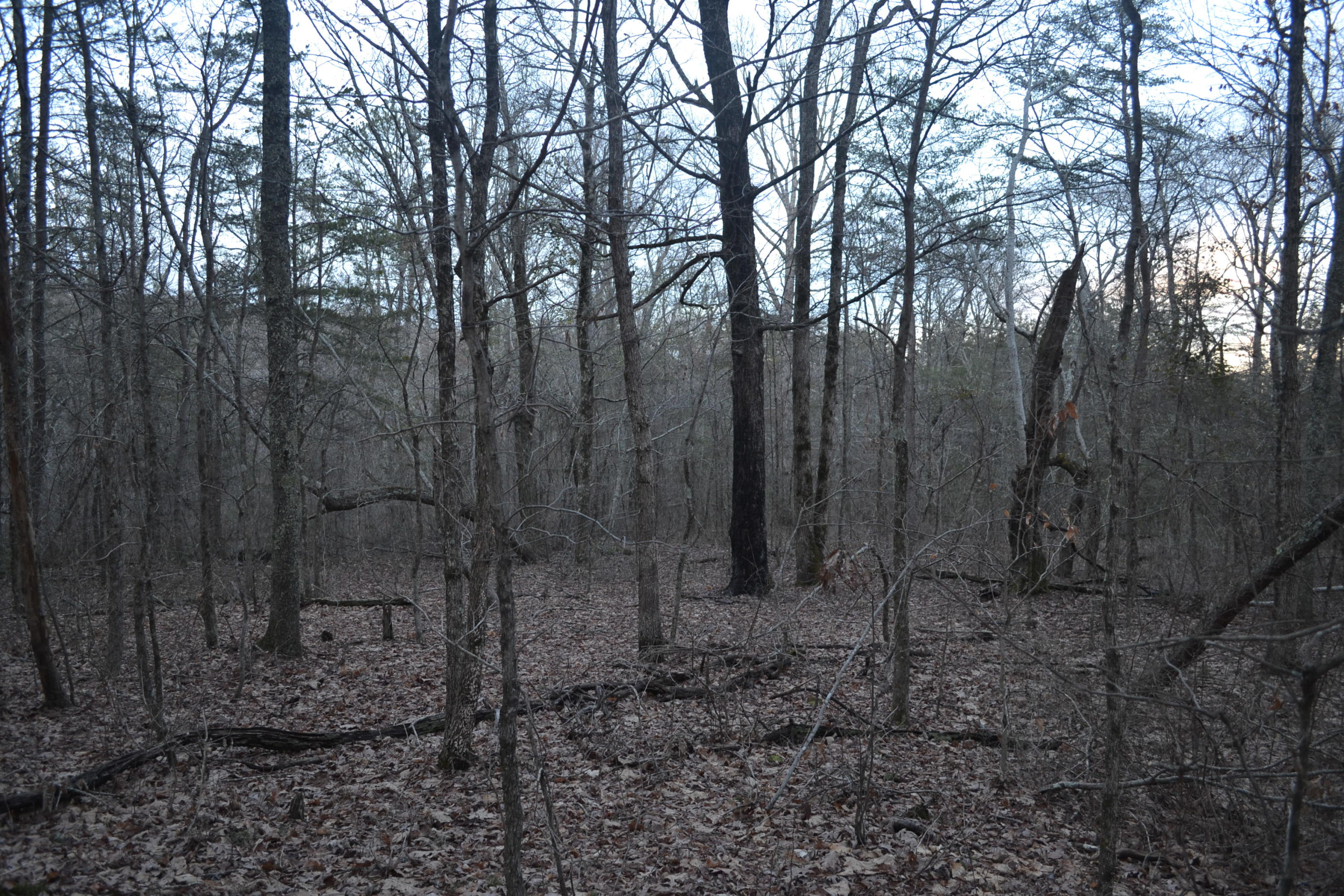 18.56-ac Window Rock Road Dunlap, TN 37327 - Photo 16 of 17 58