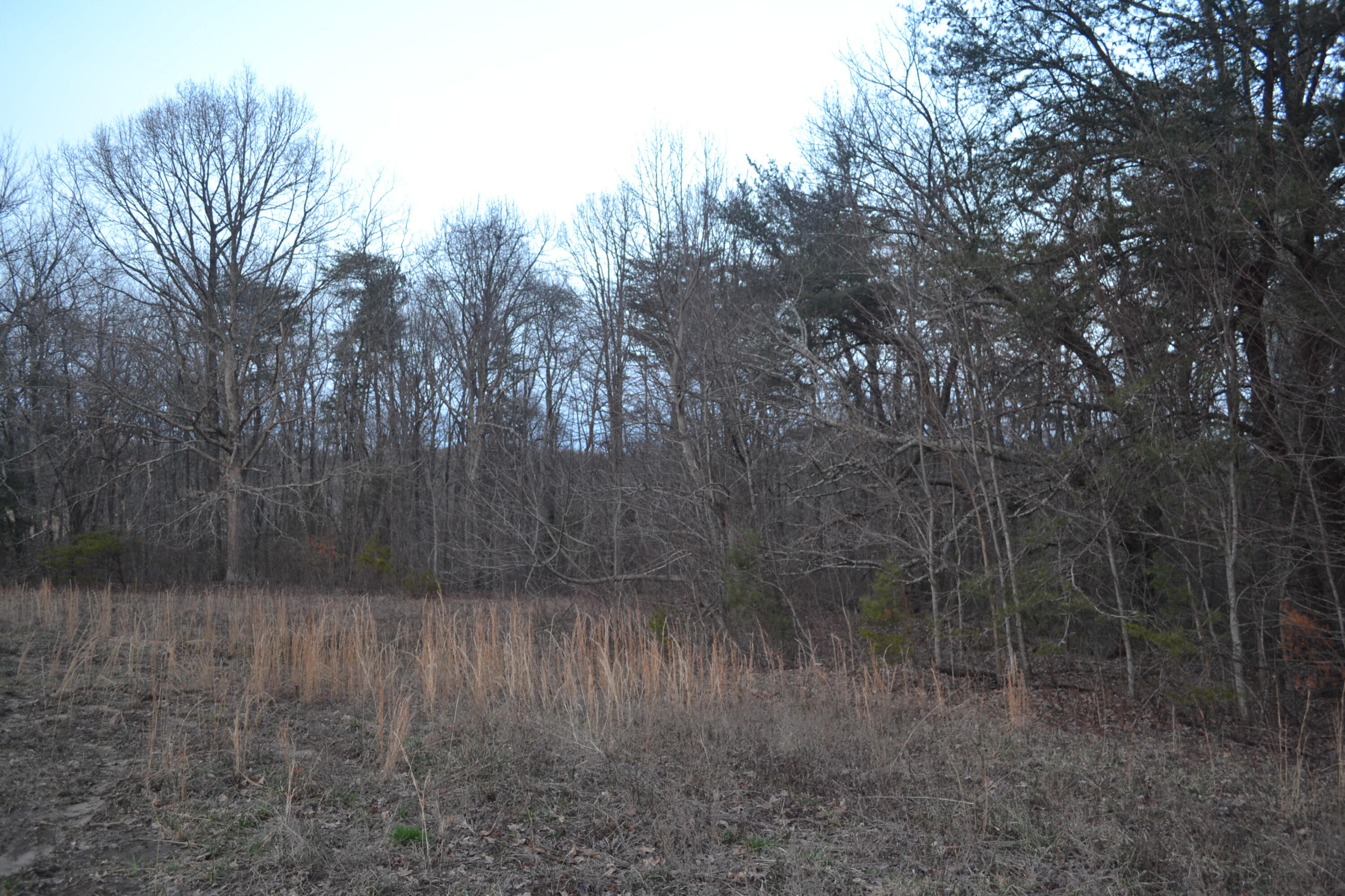 18.56-ac Window Rock Road Dunlap, TN 37327 - Photo 17 of 17 62