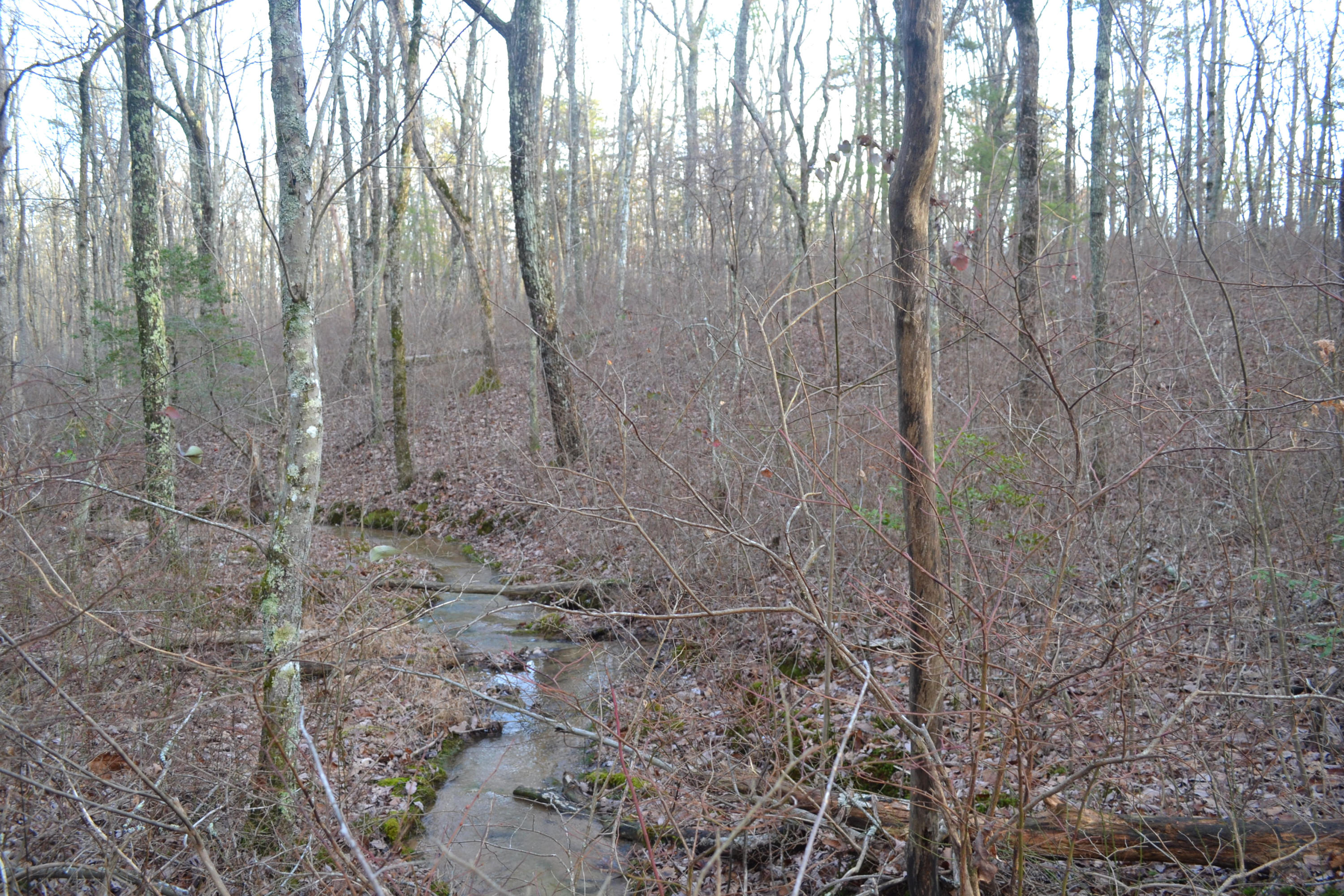18.56-ac Window Rock Road Dunlap, TN 37327 - Photo 7 of 17 30