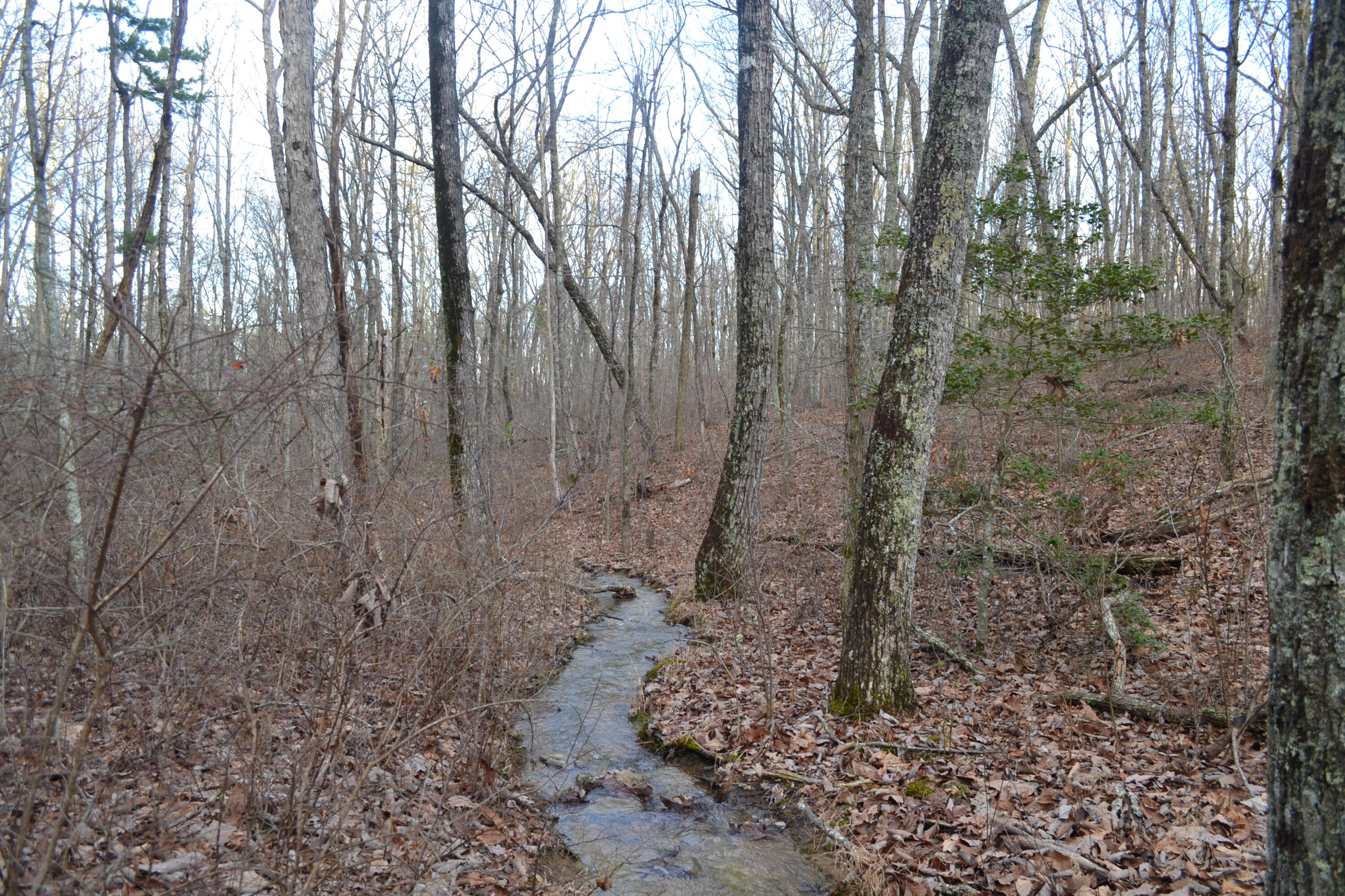 18.56-ac Window Rock Road Dunlap, TN 37327 - Photo 10 of 17 38