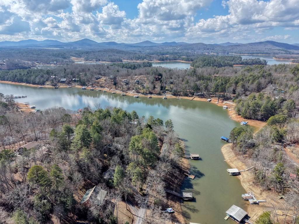 333 Reece Creek Road West Blairsville, GA 30512 - Photo 49 of 50