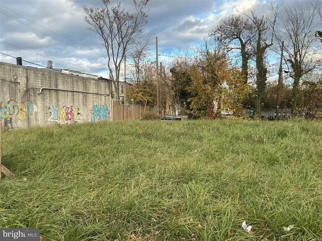 a view of backyard with green space