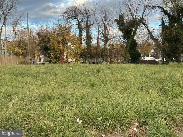 a view of a backyard with large trees