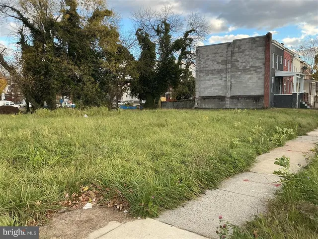 a view of a green field