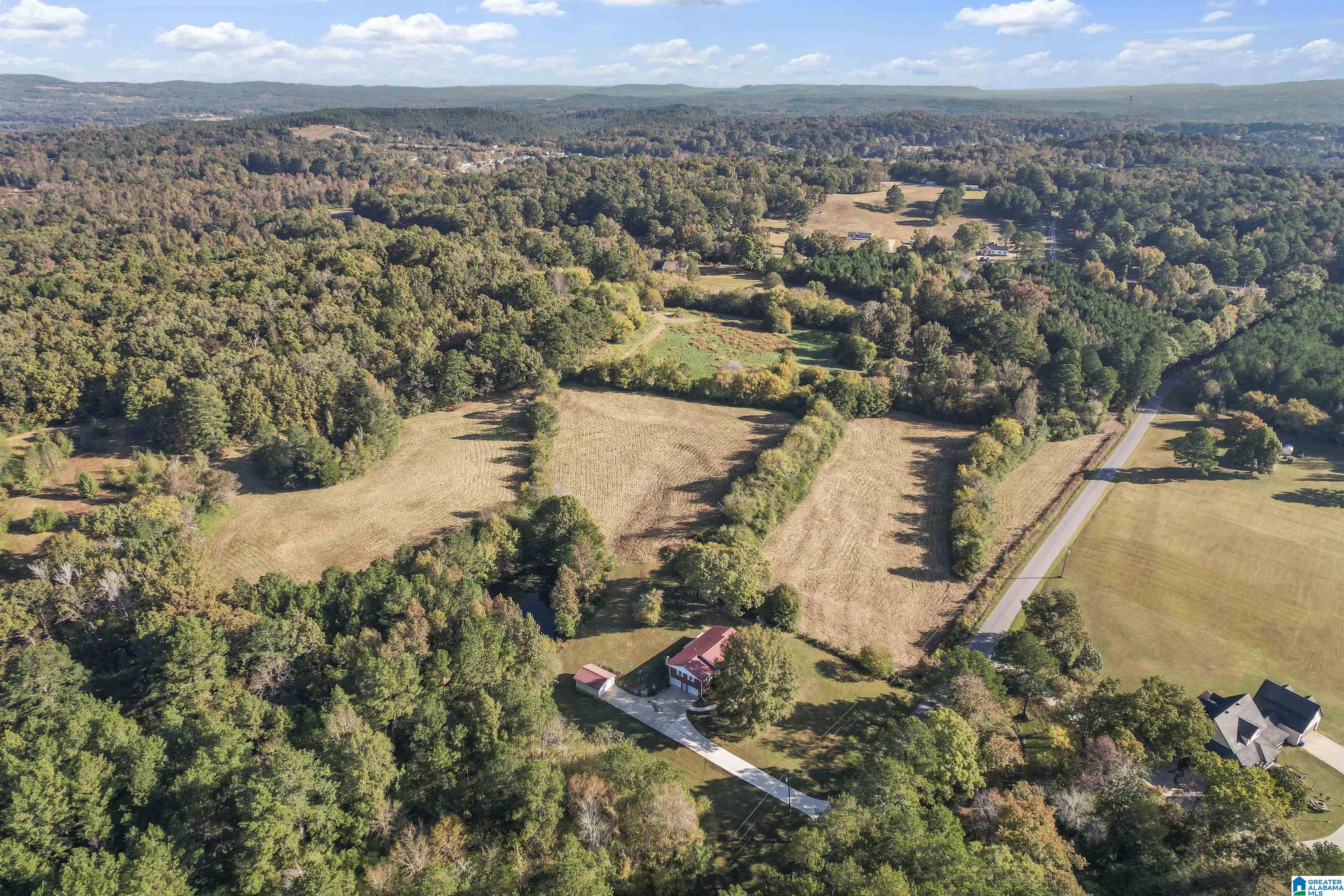 1575 Tawbush Road Locust Fork, AL 35097 - Photo 30 of 30