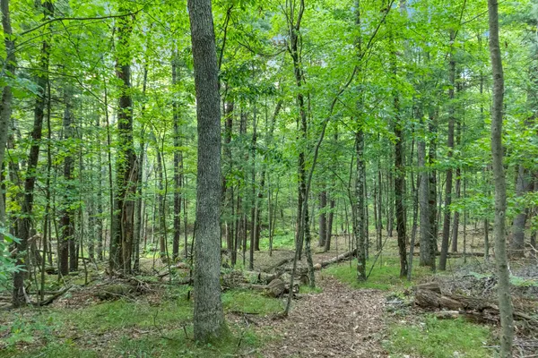 $169,900 | 4201 East 20th Street, White Cloud, MI 49349