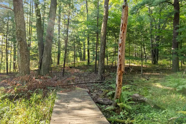 $169,900 | 4201 East 20th Street, White Cloud, MI 49349