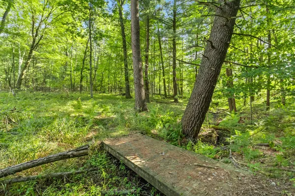 $169,900 | 4201 East 20th Street, White Cloud, MI 49349