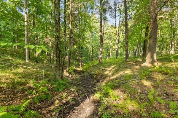 $169,900 | 4201 East 20th Street, White Cloud, MI 49349