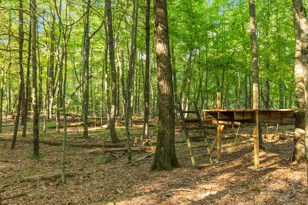 $169,900 | 4201 East 20th Street, White Cloud, MI 49349