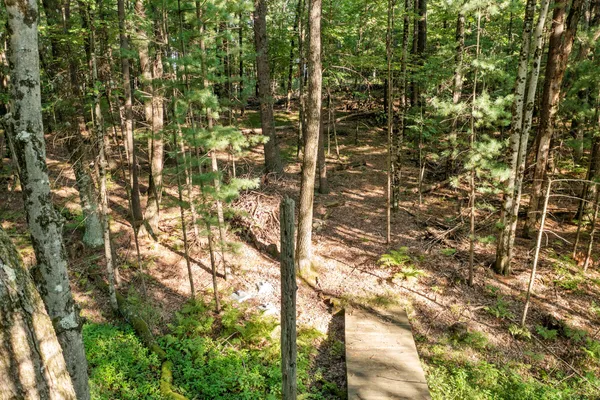 $169,900 | 4201 East 20th Street, White Cloud, MI 49349