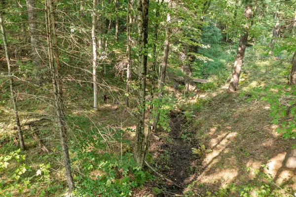 $169,900 | 4201 East 20th Street, White Cloud, MI 49349