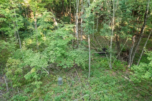 $169,900 | 4201 East 20th Street, White Cloud, MI 49349