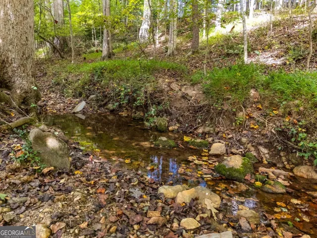 a view of a tree with a yard