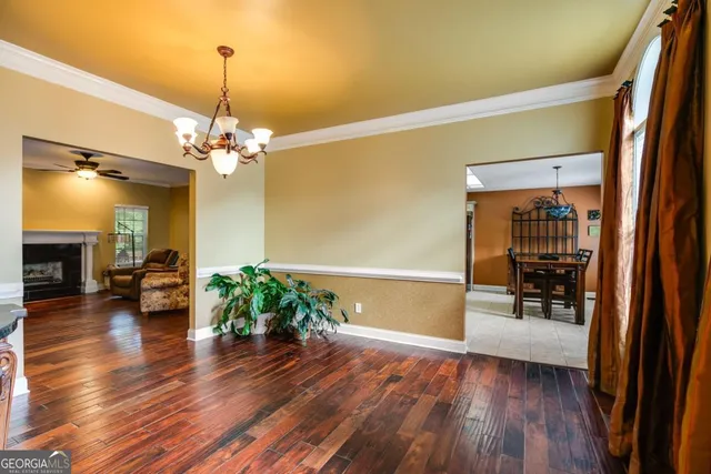 a view of a room with wooden floor and potted plant