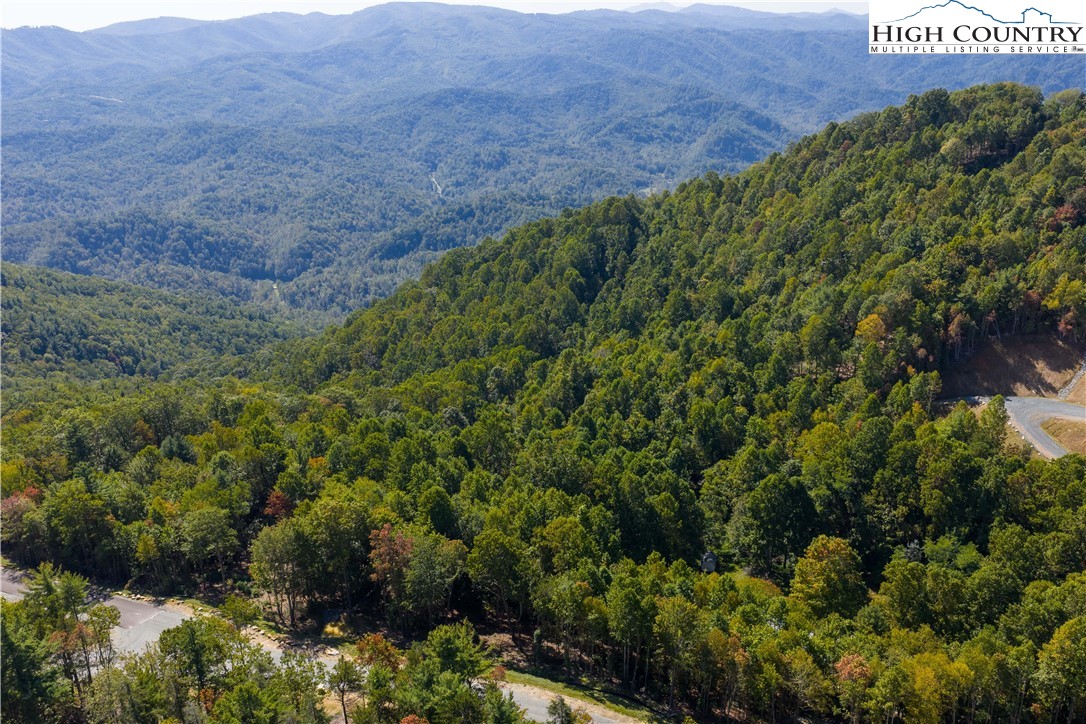 Lot 137 Angelfire Trail Deep Gap, NC 28618 - Photo 26 of 27