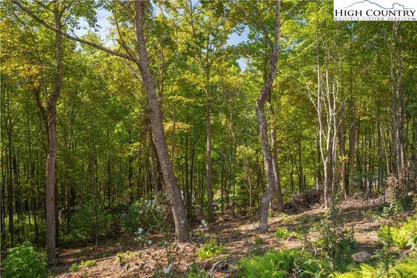 $99,900 | Lot 137 Angelfire Trail, Deep Gap, NC 28618