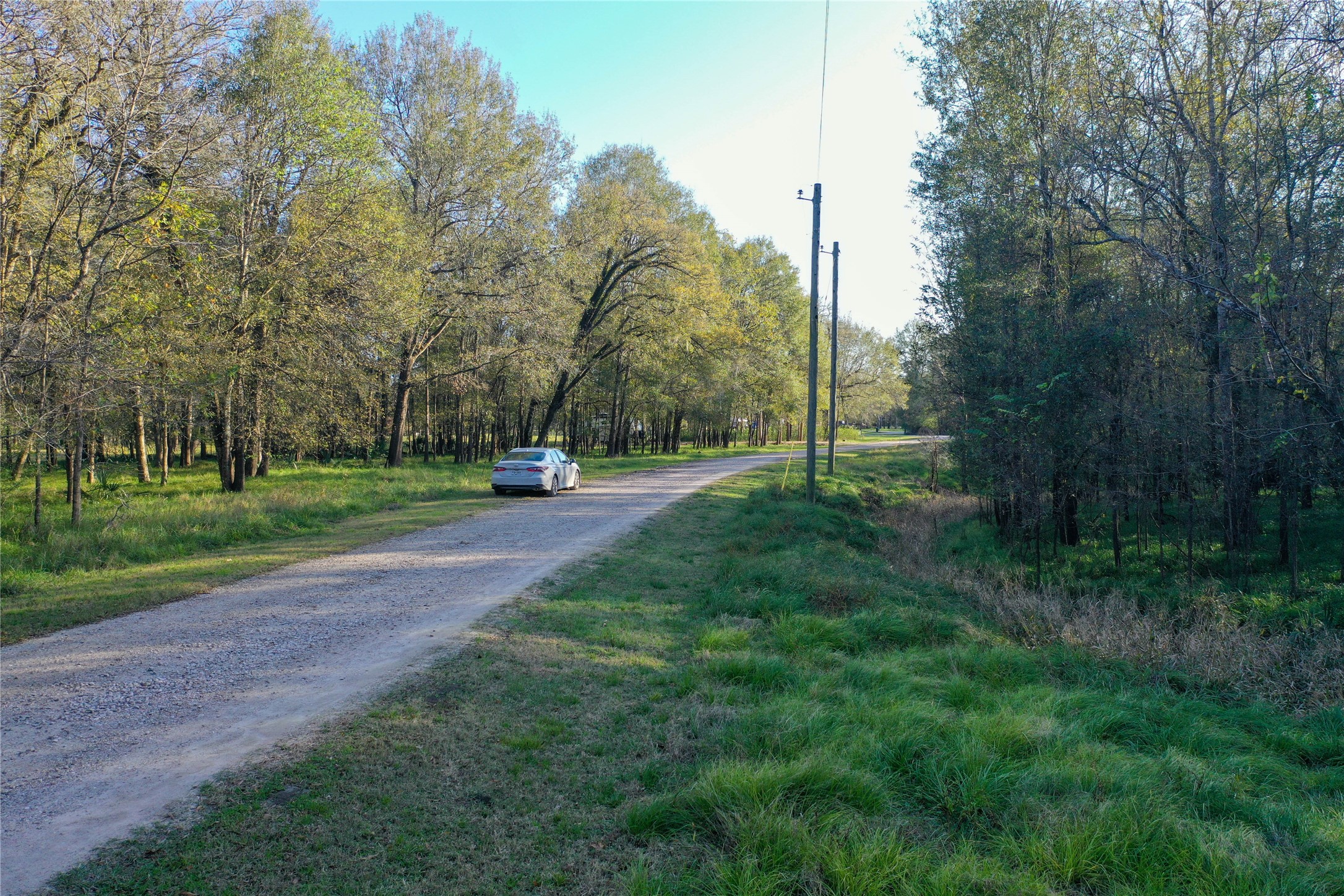 212 Carpenter Drive Cleveland, TX 77327 - Photo 13 of 23 a view of a park with large trees