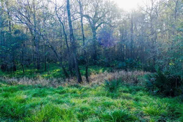 $20,000 | 212 Carpenter Drive, Cleveland, TX 77327