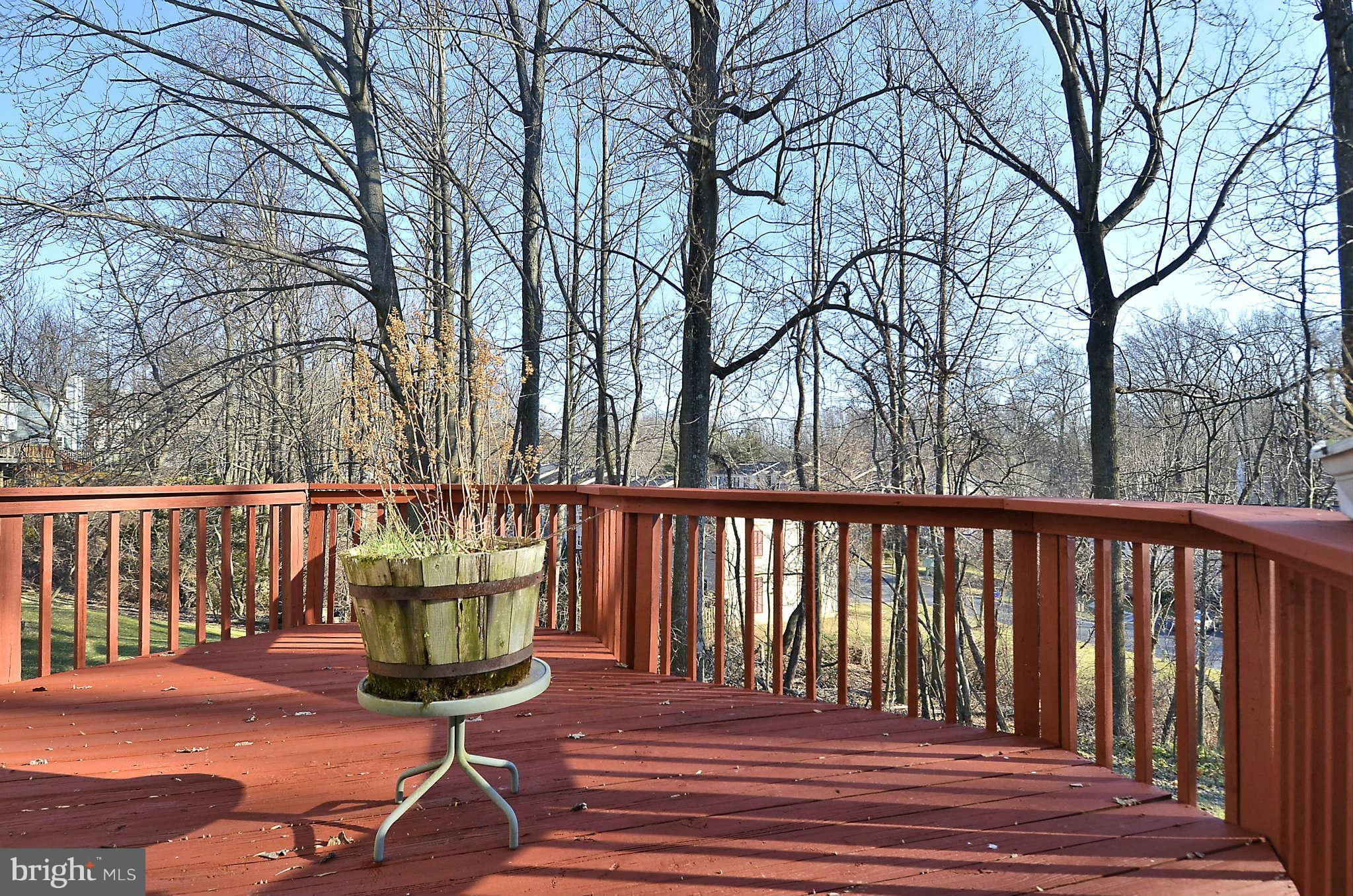 333 Crescendo Way Silver Spring, MD 20901 - Photo 25 of 30 Deck