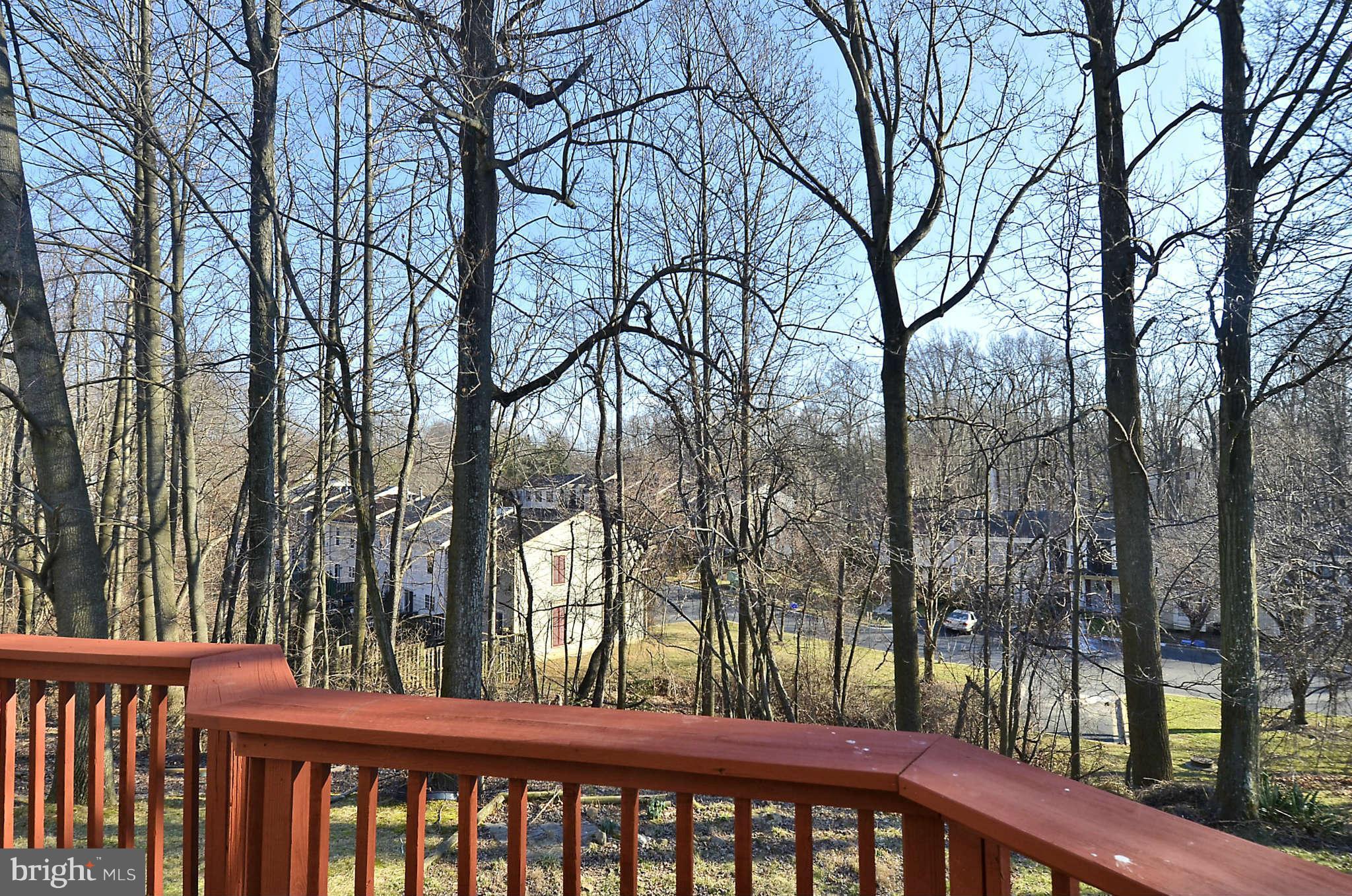 333 Crescendo Way Silver Spring, MD 20901 - Photo 26 of 30 View from Deck