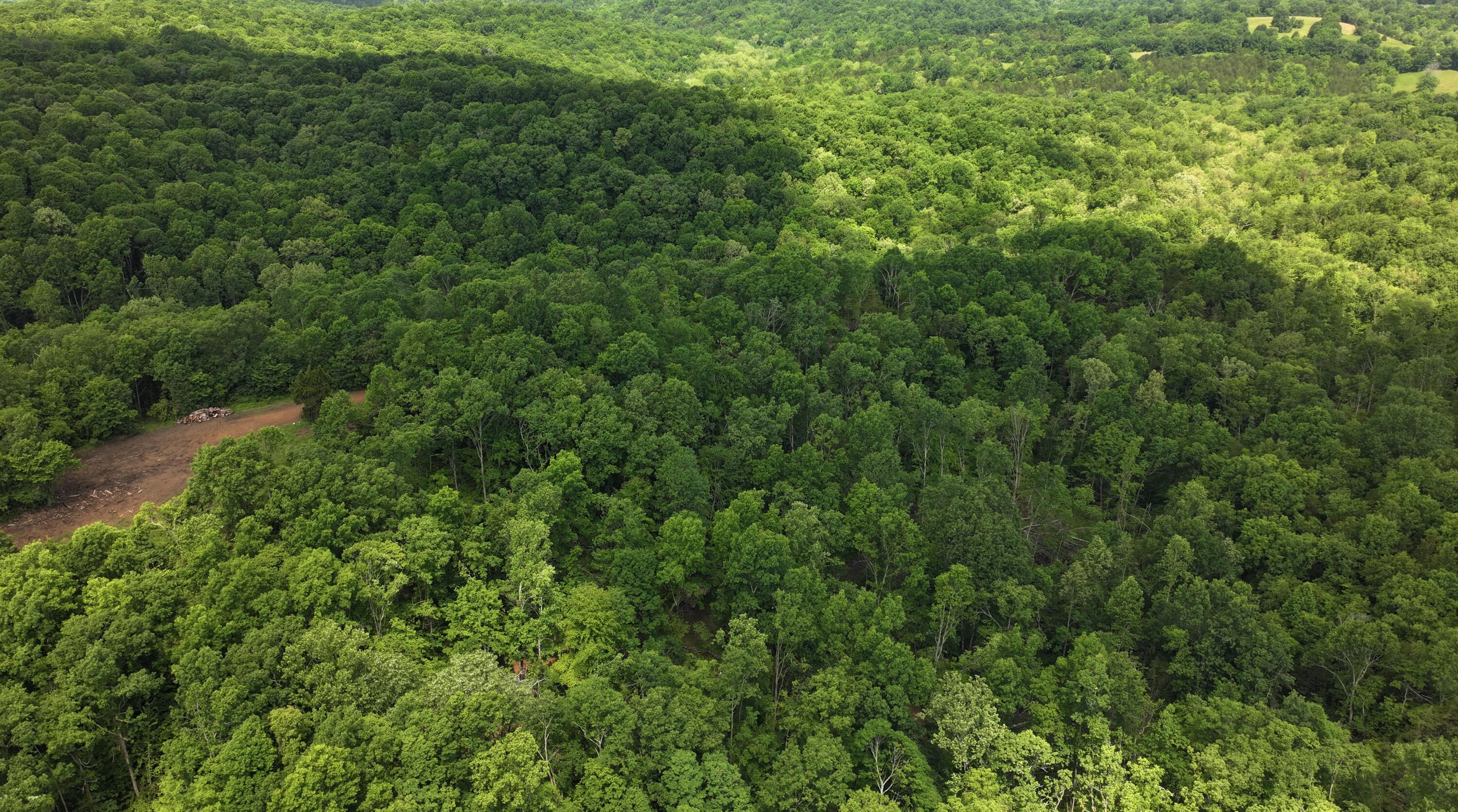 3990 Claxon Ridge Road Owenton, KY 40359 - Photo 13 of 19