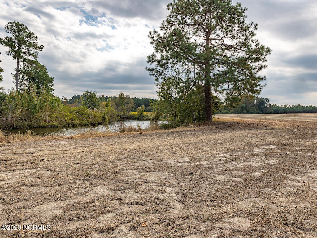 0 Bailey Road Fairmont, NC 28340 - Photo 26 of 29 27