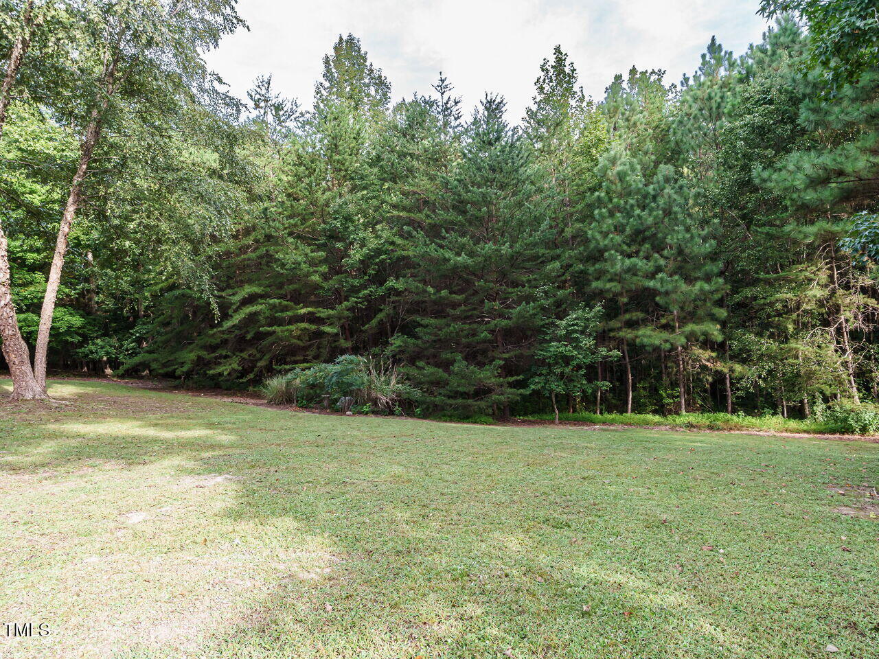 7201 Jonathan Drive Wendell, NC 27591 - Photo 35 of 43 a view of a trees in a yard