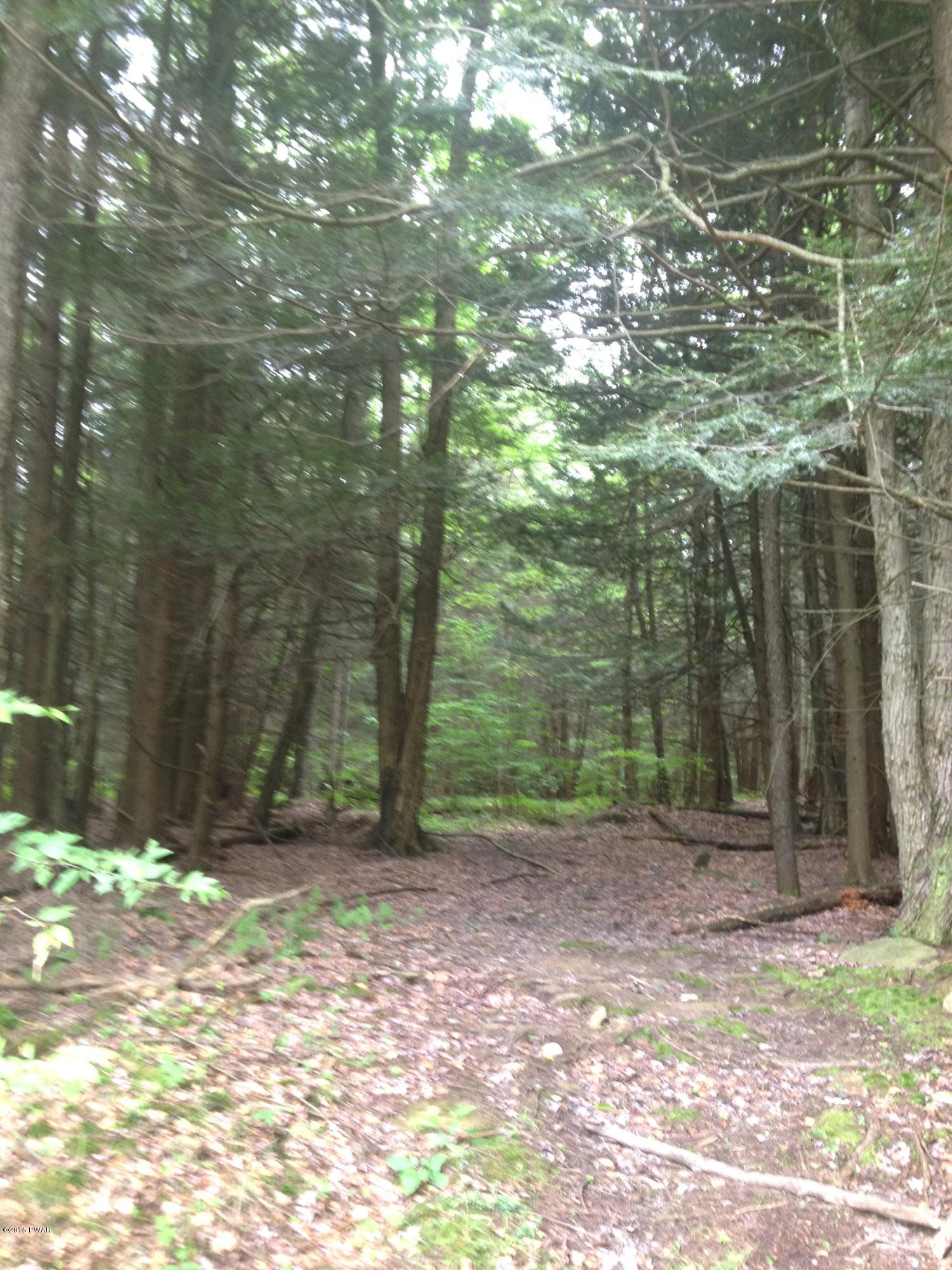 Thunderbird Road Pleasant Mount, PA 18453 - Photo 12 of 16 Gallery Image 12