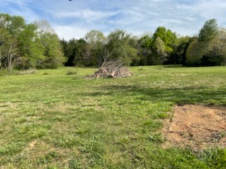 1290 Hazelwood Road Columbia, TN 38401 - Photo 13 of 22 Gallery Image 13