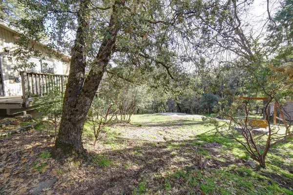 a view of a yard with a tree