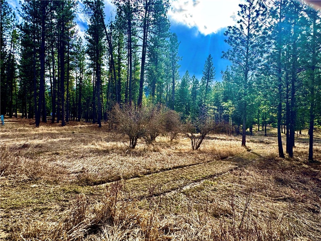 21481 9 Mile Road Huson, MT 59846 - Photo 10 of 33 Gallery Image 10