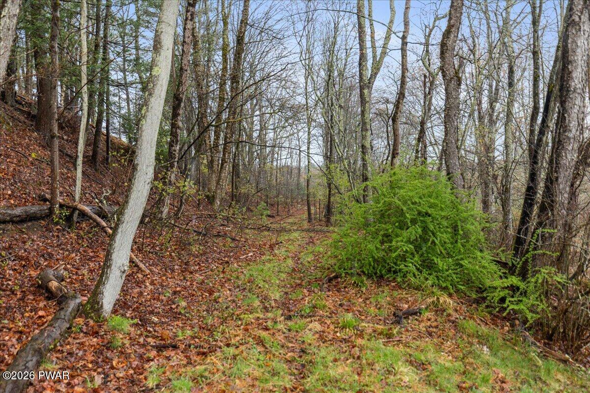 119 Springbrook Road Shohola, PA 18458 - Photo 24 of 72