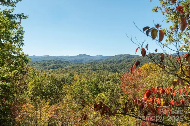 a picture of street view