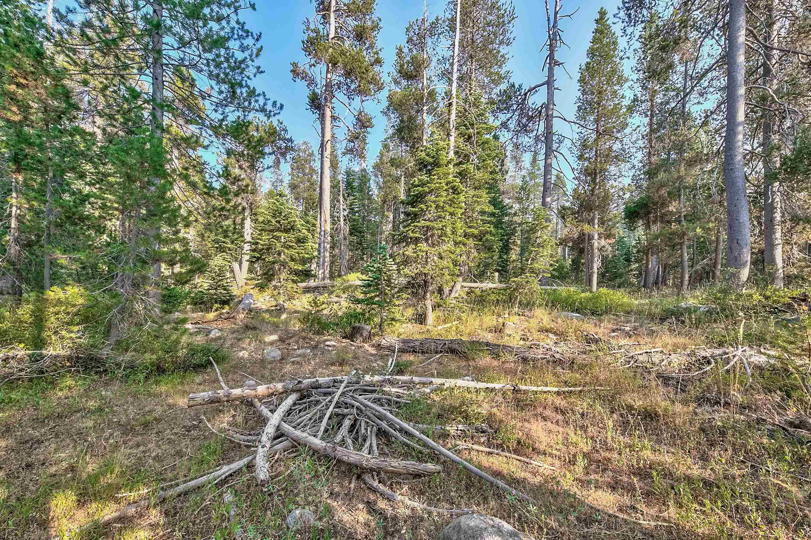 51357 Donner Pass Road Soda Springs, CA 95728 - Photo 2 of 17
