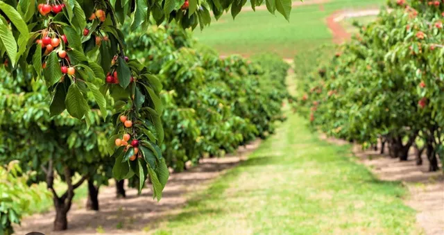 $1,800,000 | 0 Apn 841-38-029, Gilroy, CA 95020