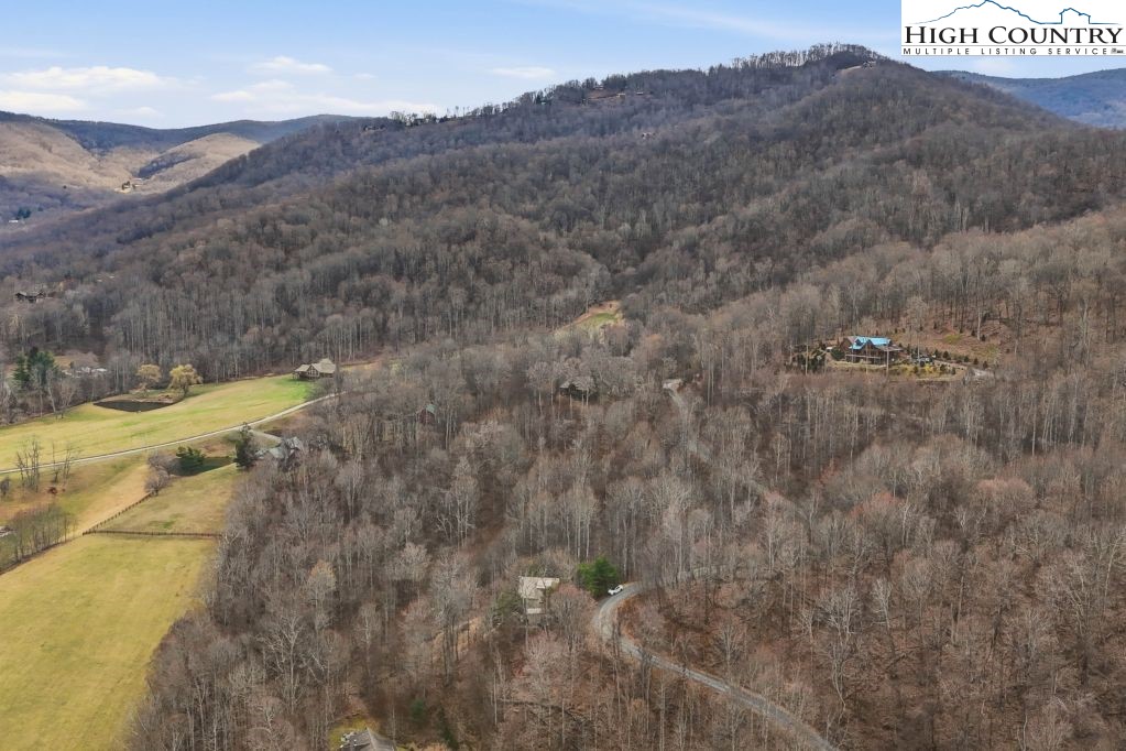 408 Eagle Ridge Road Roan Mountain, TN 37687 - Photo 42 of 45 a view of a dry yard with mountains in the background