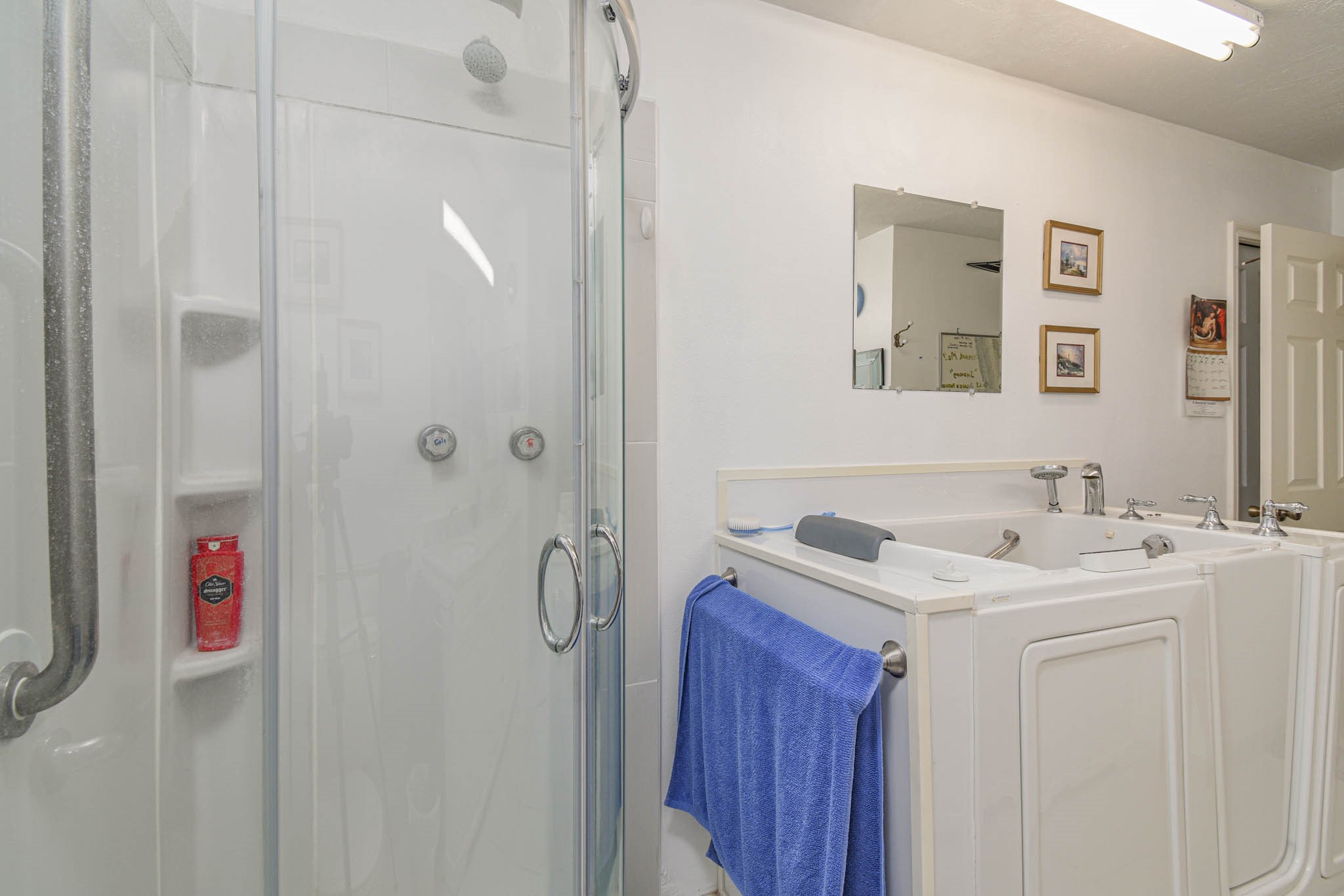 4503 Allen-Genoa Road Pasadena, TX 77504 - Photo 18 of 50 BETTER VIEW OF WALK IN SPA TUB & SEPARATE SHOWER. COME RELAX HERE!