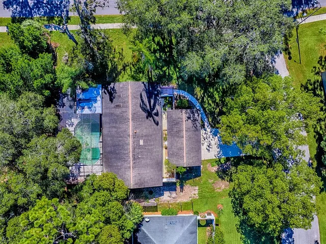 a picture of a bunch of flowers