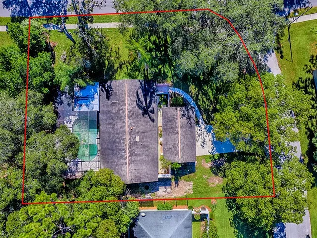 a picture of a bunch of flowers