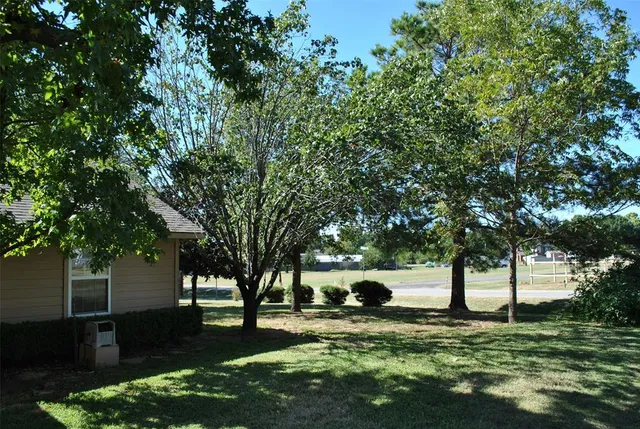 a view of a backyard with large trees