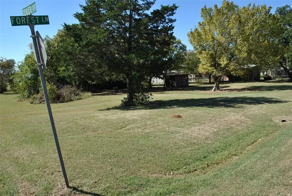 a view of a yard