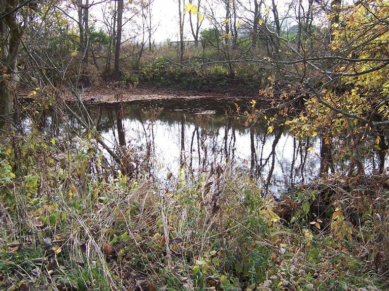 2382 Union Mill Road Nicholasville, KY 40356 - Photo 29 of 39 Photo 29