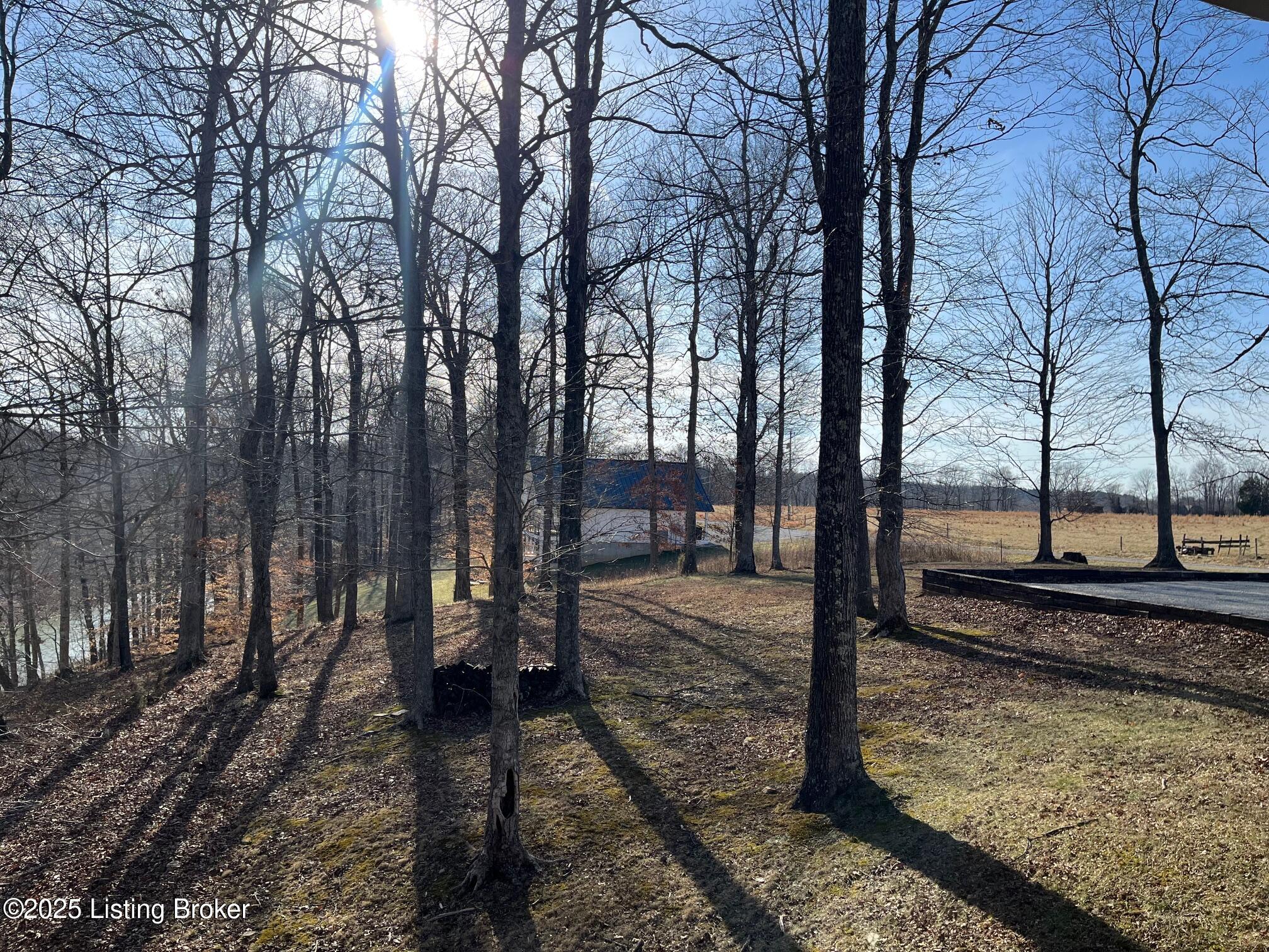 216 Peter Cave Hts Road Leitchfield, KY 42754 - Photo 55 of 63 52
