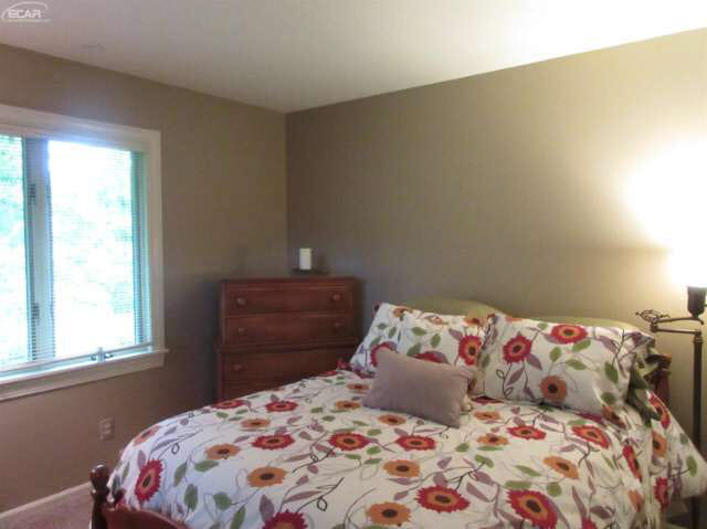 6665 Lierman Road Imlay City, MI 48444 - Photo 17 of 46 21177400-16.JPG