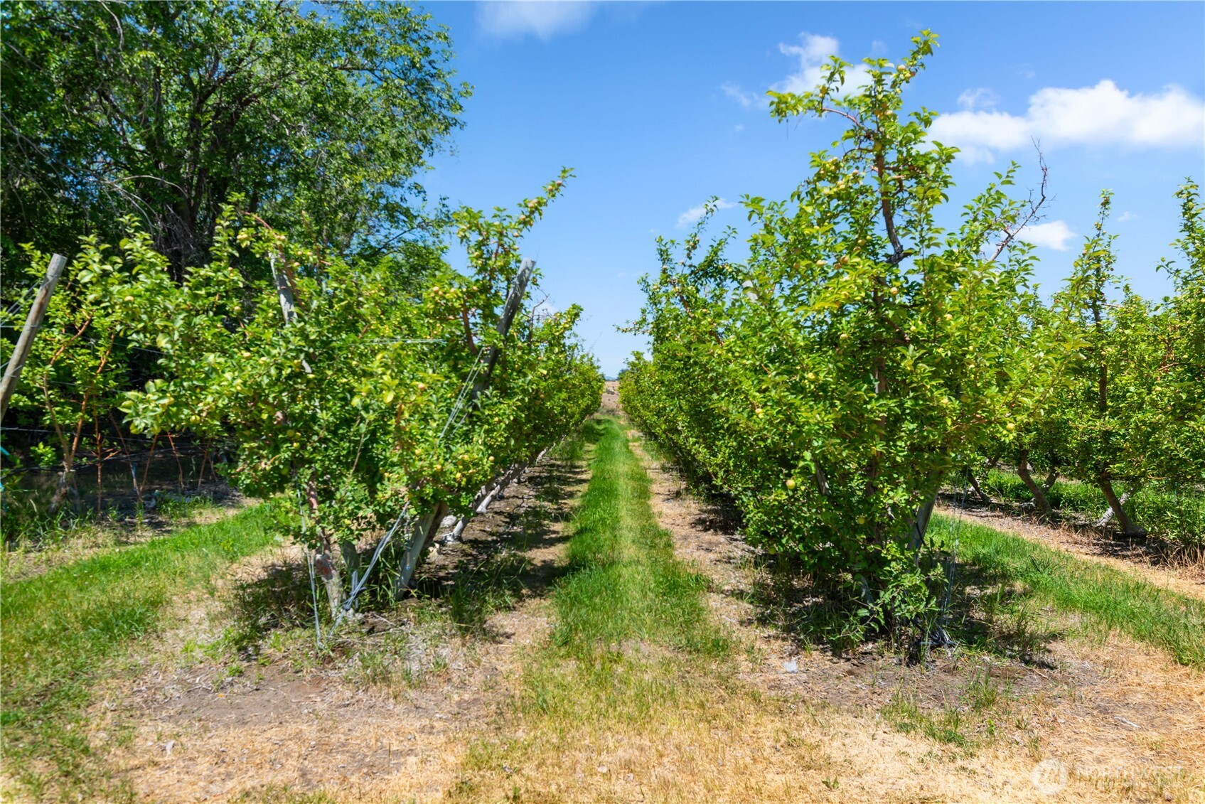 200 Lakayuse Road Manson, WA 98831 - Photo 13 of 21